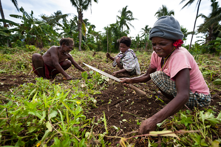 Local Farmers